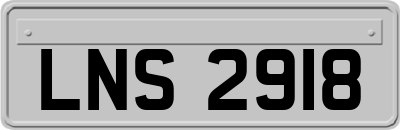 LNS2918