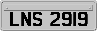 LNS2919