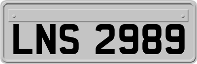 LNS2989