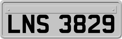 LNS3829