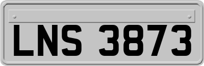 LNS3873