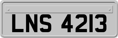 LNS4213