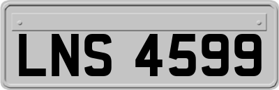 LNS4599