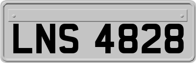 LNS4828