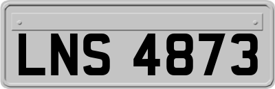 LNS4873