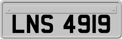LNS4919