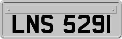 LNS5291