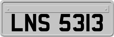 LNS5313