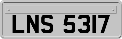 LNS5317