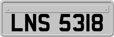 LNS5318