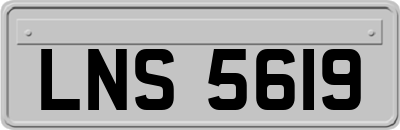 LNS5619