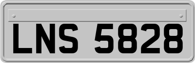 LNS5828