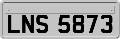 LNS5873