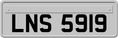 LNS5919