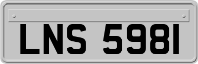 LNS5981