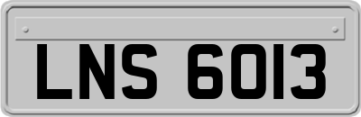 LNS6013