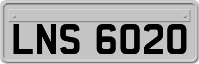 LNS6020