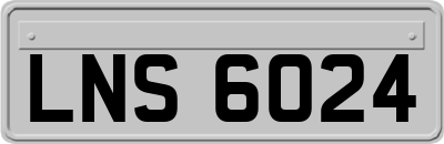 LNS6024