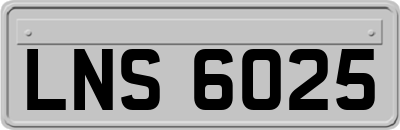LNS6025