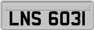 LNS6031