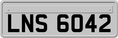 LNS6042