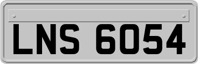 LNS6054