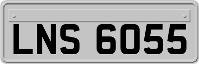 LNS6055