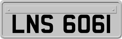 LNS6061