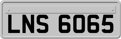 LNS6065
