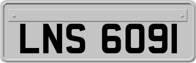 LNS6091