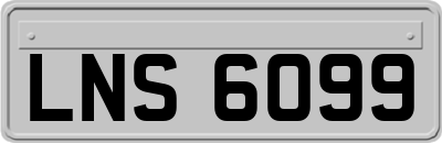 LNS6099