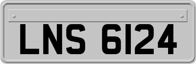 LNS6124