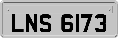 LNS6173