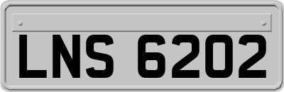 LNS6202