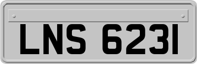 LNS6231