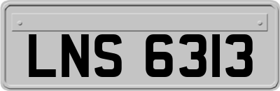 LNS6313