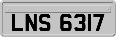 LNS6317