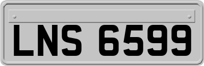 LNS6599