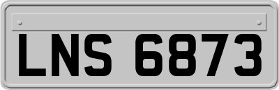 LNS6873