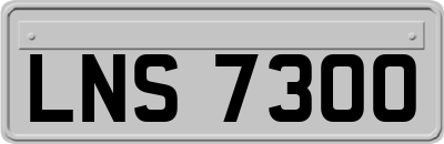 LNS7300