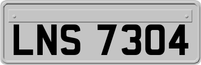 LNS7304