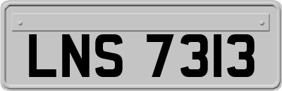 LNS7313