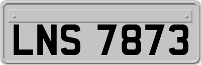 LNS7873