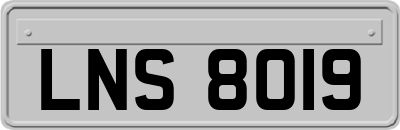 LNS8019