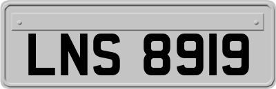 LNS8919
