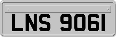 LNS9061