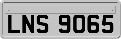 LNS9065