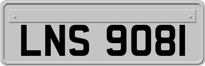 LNS9081