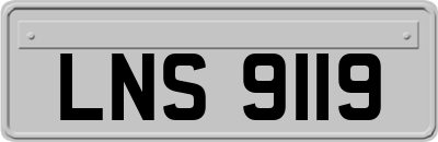LNS9119