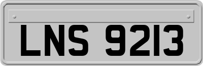 LNS9213